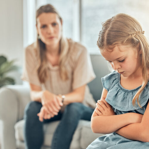 Parental Alienation in Colorado