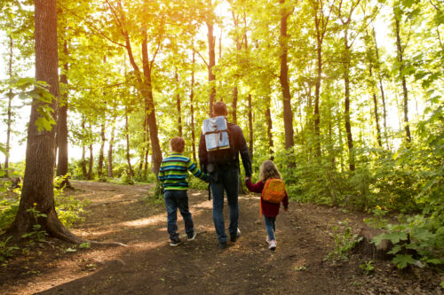 Legal-Custody-in-Colorado-What-It-Means-and-Why-It-Matters-for-Summer-Plans