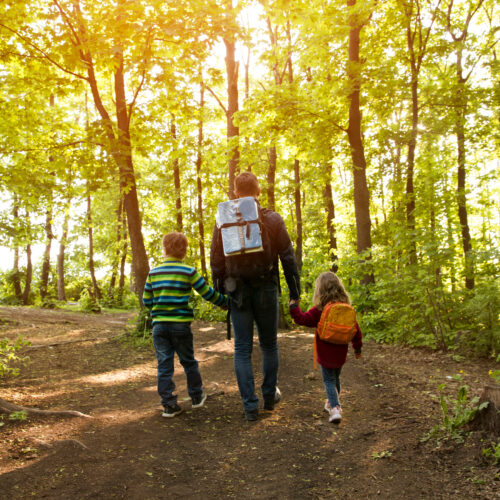 Legal-Custody-in-Colorado-What-It-Means-and-Why-It-Matters-for-Summer-Plans